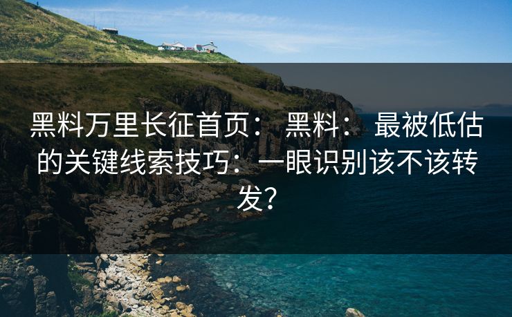 黑料万里长征首页： 黑料： 最被低估的关键线索技巧：一眼识别该不该转发？