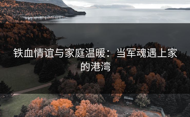 铁血情谊与家庭温暖：当军魂遇上家的港湾