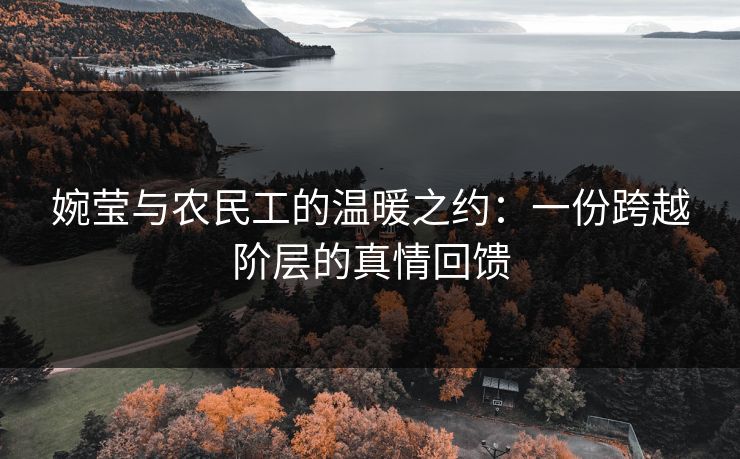 婉莹与农民工的温暖之约：一份跨越阶层的真情回馈