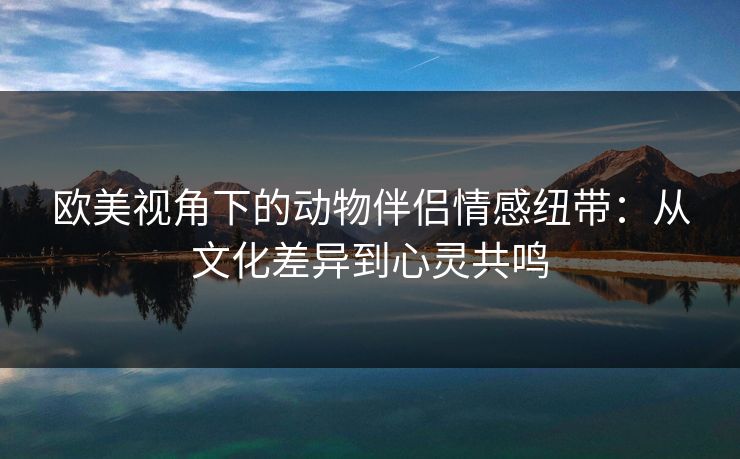 欧美视角下的动物伴侣情感纽带：从文化差异到心灵共鸣