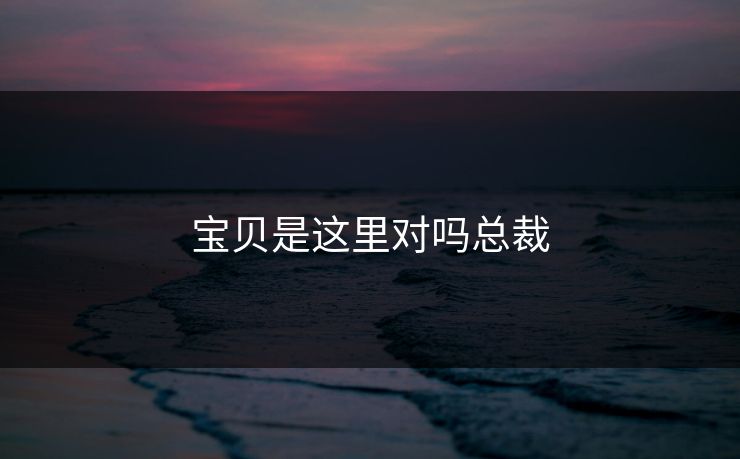 宝贝是这里对吗总裁