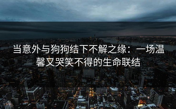 当意外与狗狗结下不解之缘：一场温馨又哭笑不得的生命联结