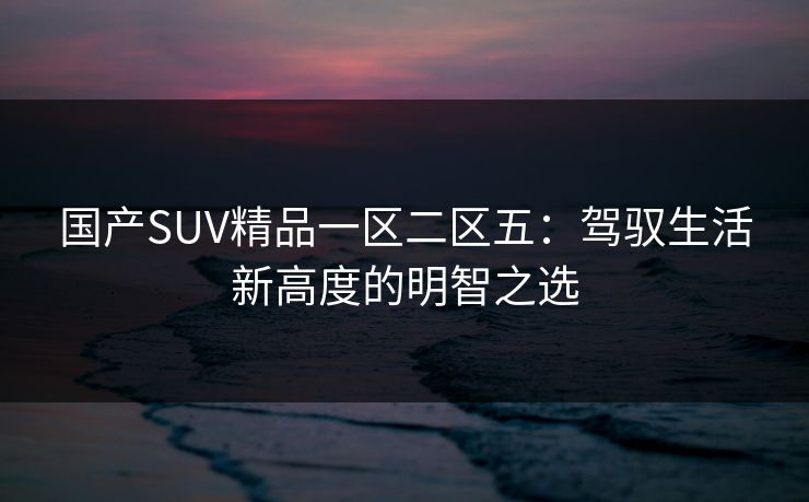 国产SUV精品一区二区五：驾驭生活新高度的明智之选
