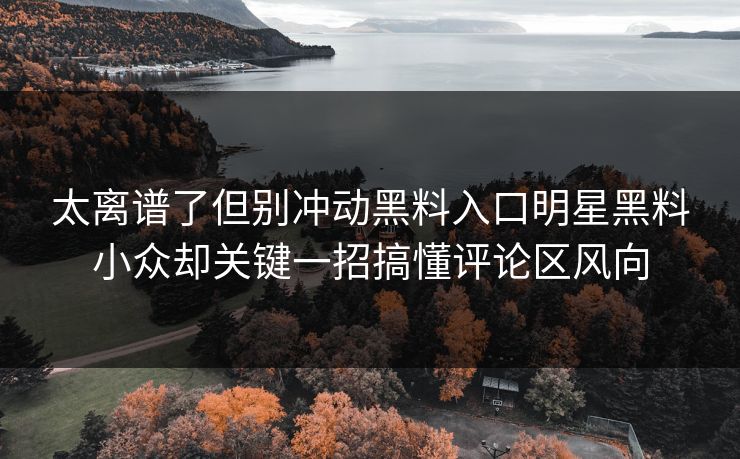 太离谱了但别冲动黑料入口明星黑料小众却关键一招搞懂评论区风向